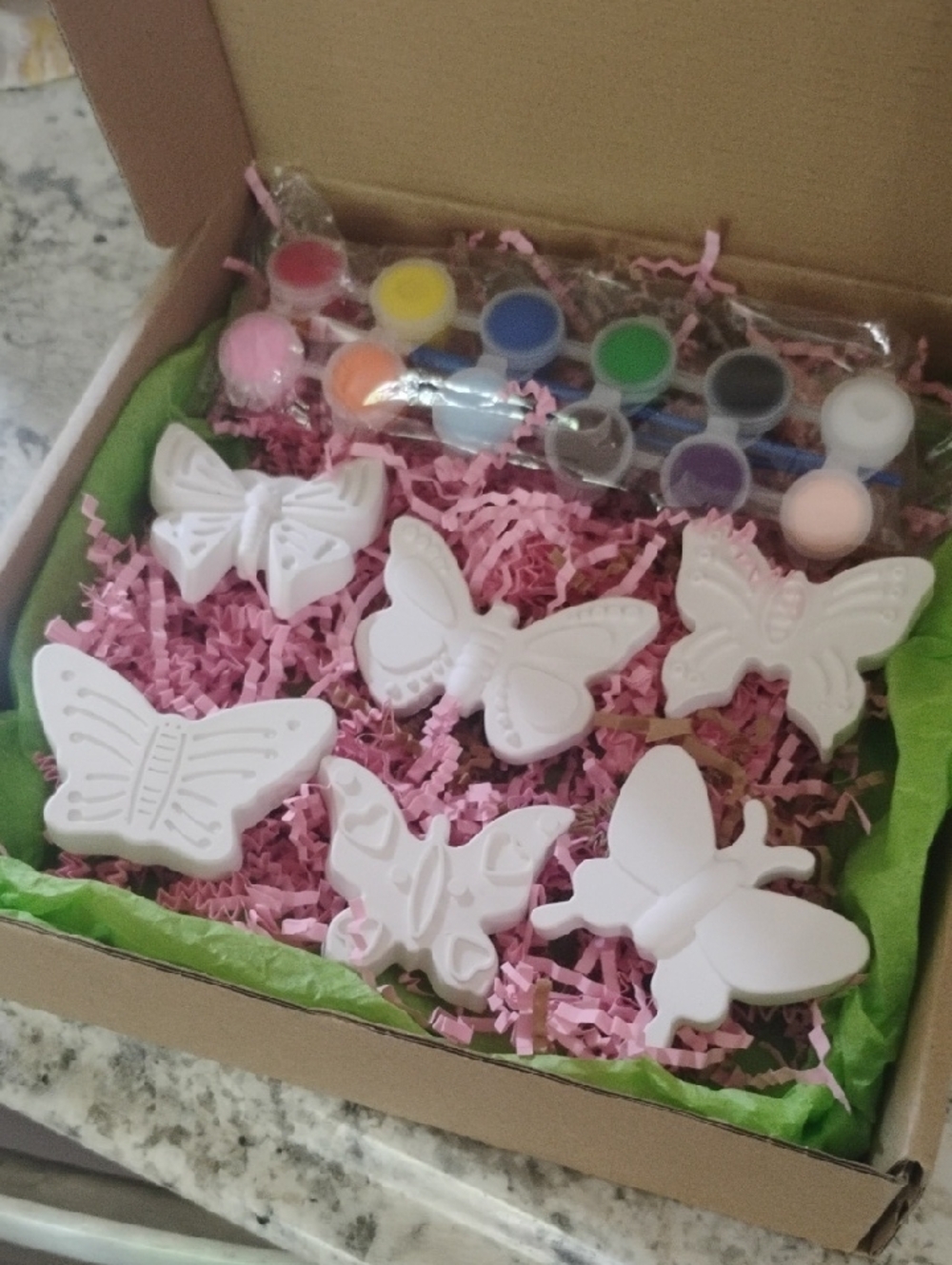 Butterfly Paint-Your-Own Plaster Kit - White Butterflies